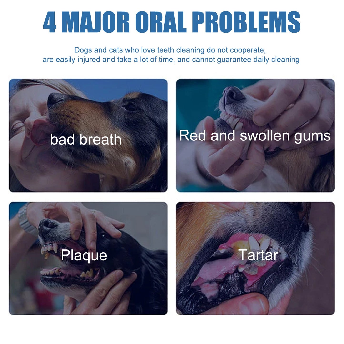 Pet Oral Spray | Freshen Breath, Remove Tartar & Promote gum regeneration, stabilize teeth 🦷🦷